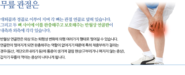 반월상 연골판 파열 무릎 관절은 대퇴골과 경골로 이루어 지며 각 뼈는 관절 연골로 덮혀 있습니다. 그리고 두 뼈 사이에 이를 완충해주고 보호해주는 반월상 연골판이 내측과 외측에 각각 있습니다. 